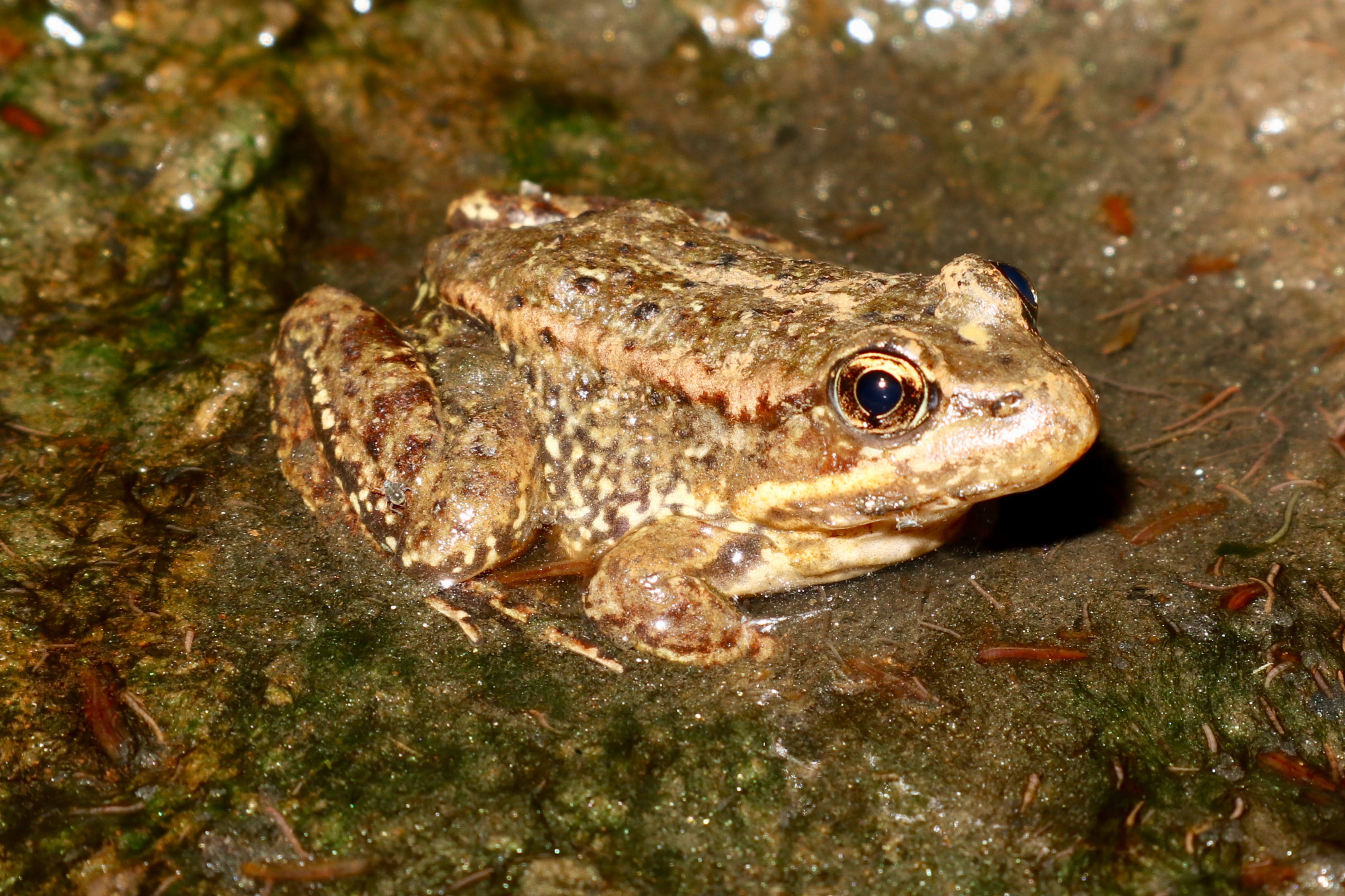 RADRJuvie_1263.jpg