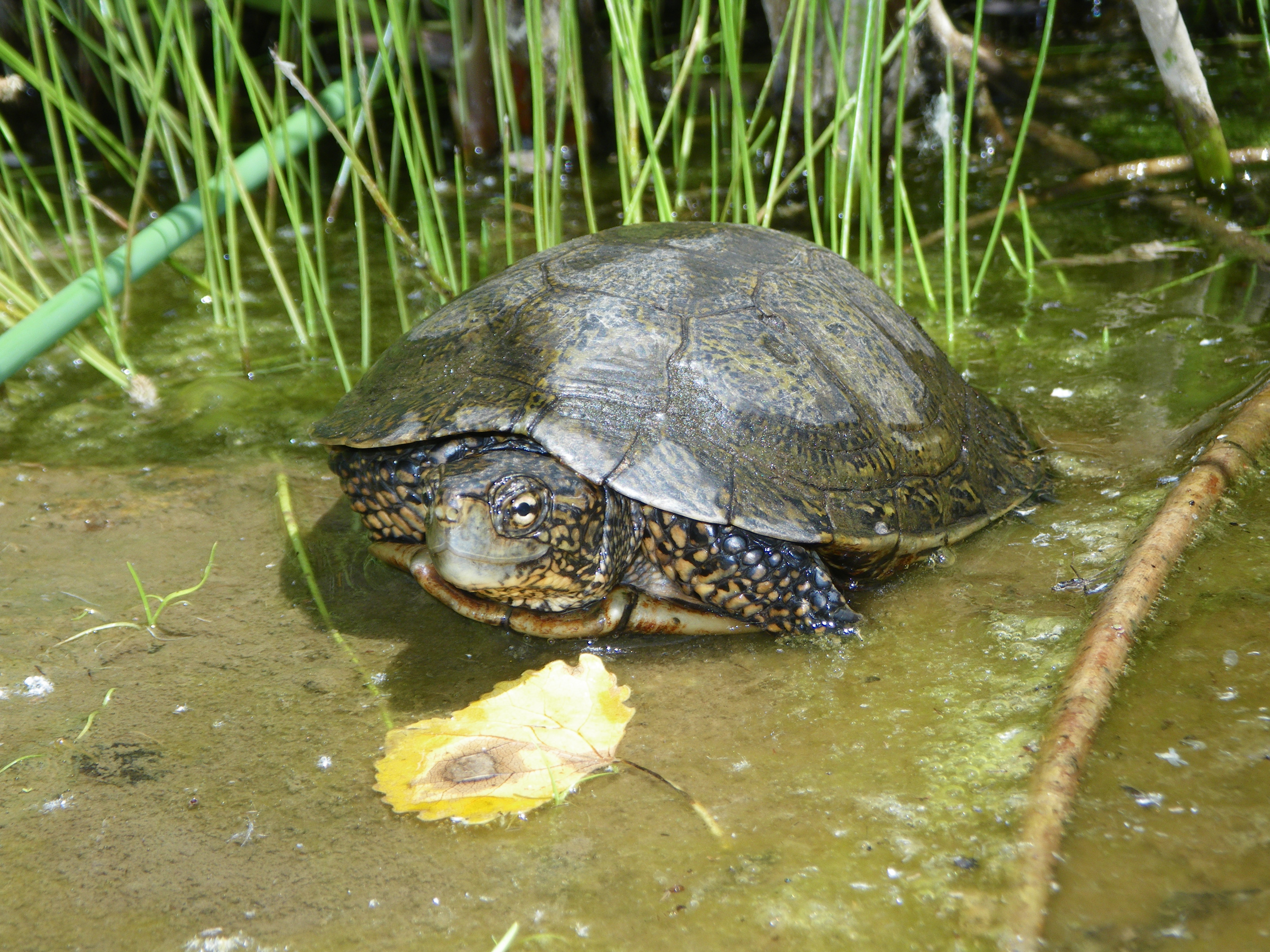 20100624-USGS-CB-1002.JPG