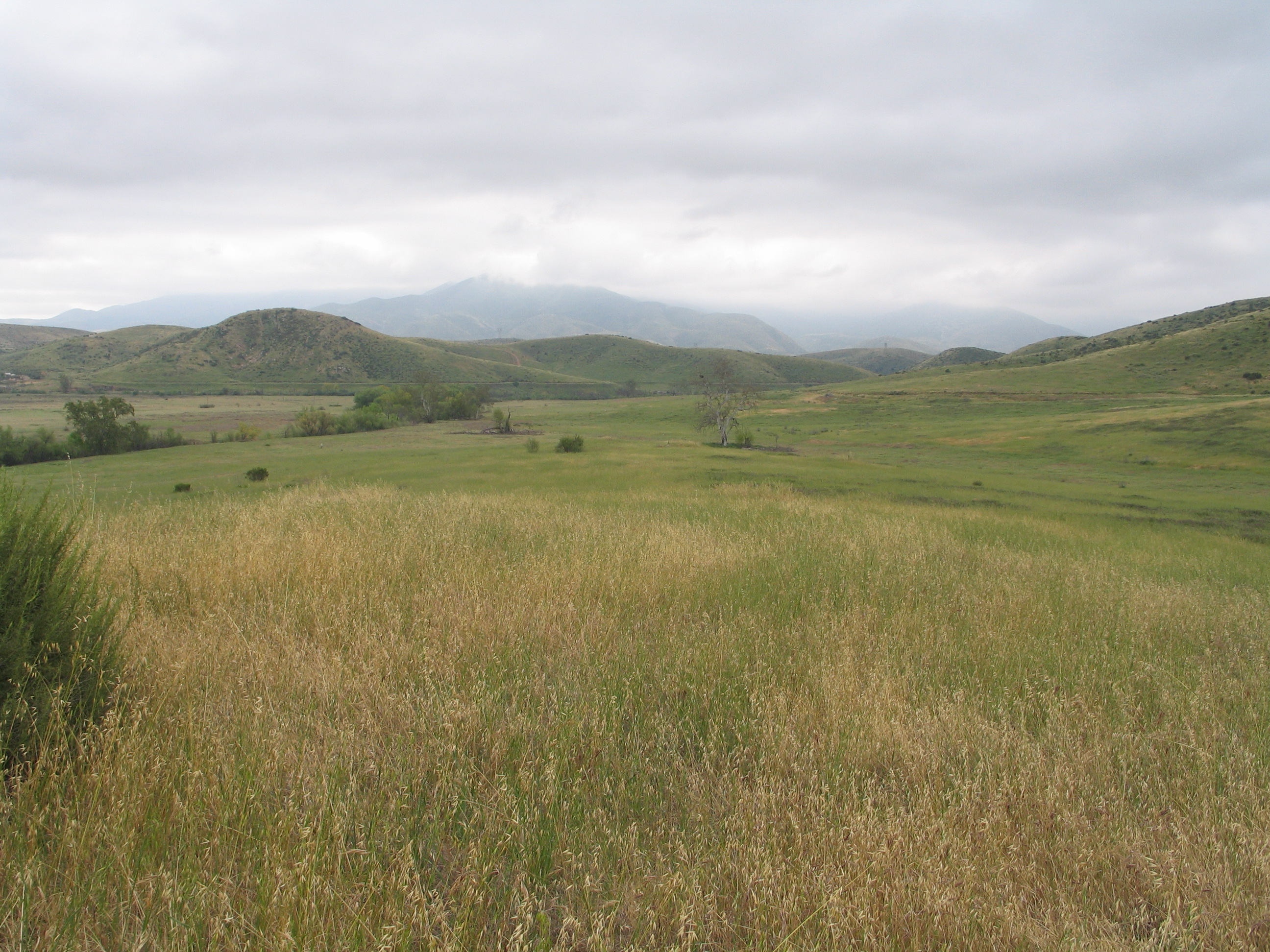 Rancho Jamul Ecological Reserve Patricia Gordon-Reedy.jpg