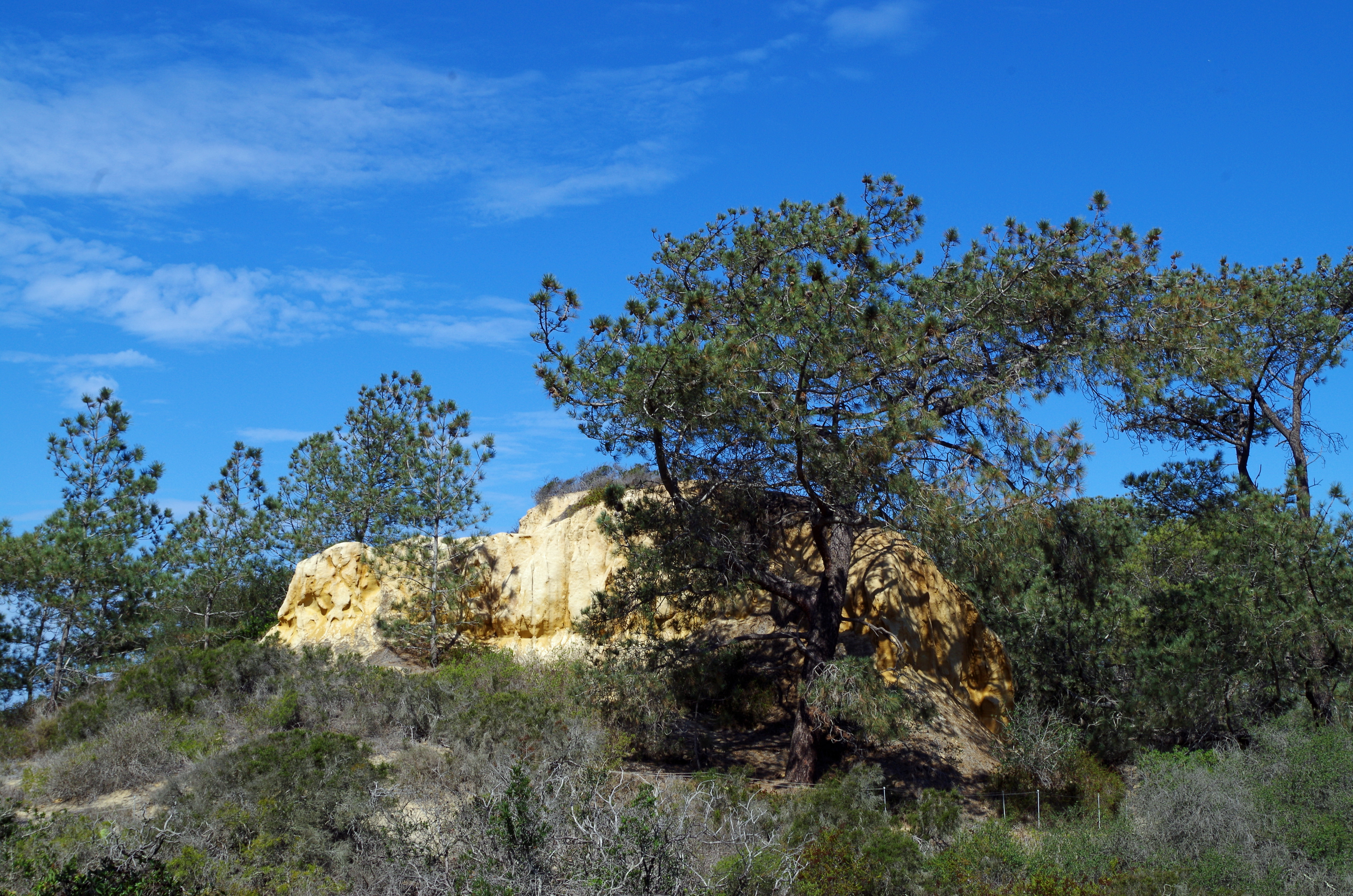 Torrey Pines_01_PGR.jpg