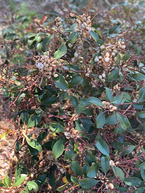 image2.jpeg